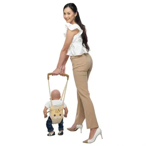 Baby Walker Giraffe Series